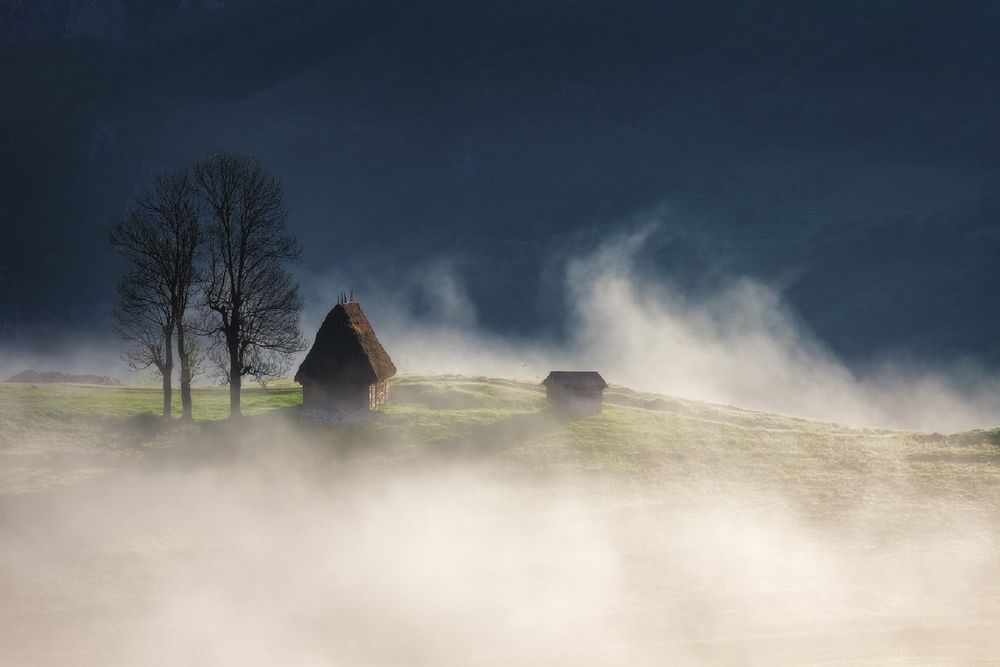 Обои для рабочего стола Туманное утро в горах Апусени, Румыния, фотограф Ioan Ovidiu Lazar