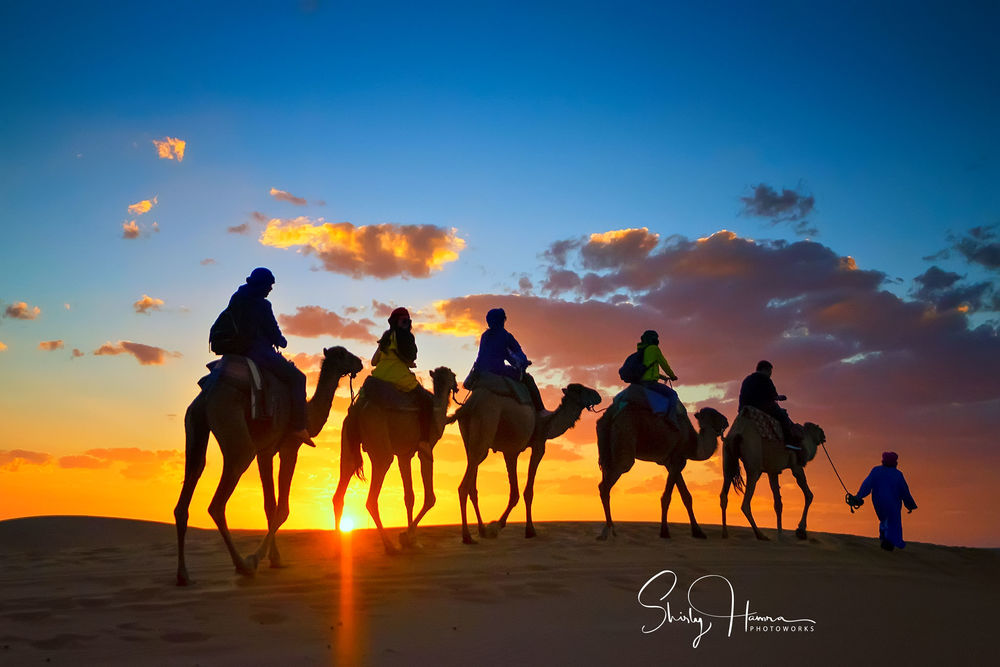 Обои для рабочего стола Караван верблюдов с людьми на фоне заката, by Shirly Hamra
