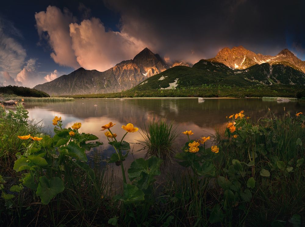 Обои для рабочего стола Горы Tatry, Slovakia / Татры, Словакия под облачным небом у озера, на переднем плане желтые цветы, фотограф Karol Nienartowicz