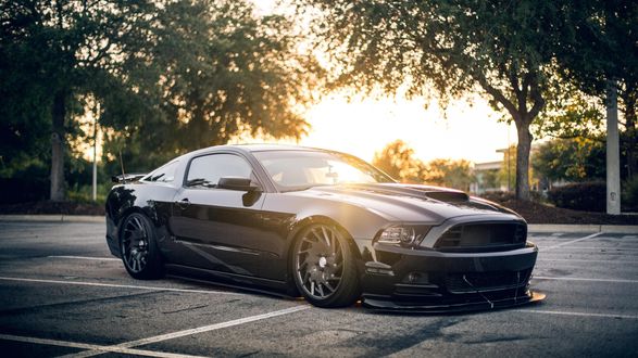 Обои на рабочий стол Черный Ford Mustang освещенный солнечными лучами, by Lance Asper