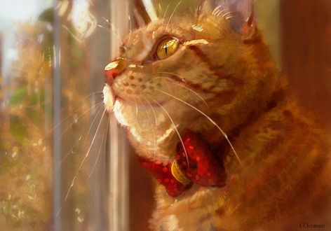 Обои на рабочий стол Рыжий кот смотрит в окно, by Meorow