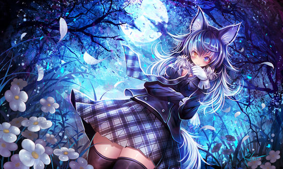 Обои на рабочий стол Девушка - волк в ночном лесу из аниме Kemono Friends / Ушастые Друзья