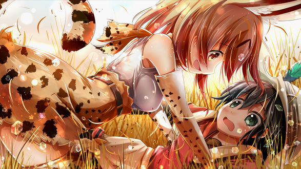 Обои на рабочий стол Сервал / Serval и Kaban / Кабан из аниме Ушастые Друзья / Kemono Friends