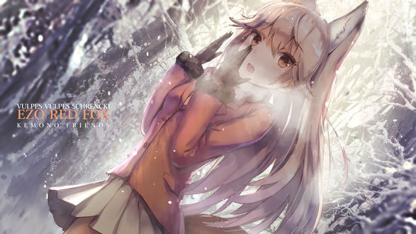 Обои на рабочий стол Ezo Red Fox / Эзо Красная Лиса стоит в зимнем лесу из аниме Kemono Friends / Ушастые Друзья
