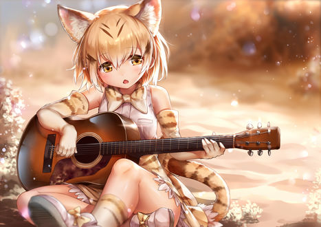 Обои на рабочий стол Serval / Сервал играет на гитаре из аниме Ушастые Друзья / Kemono Friends