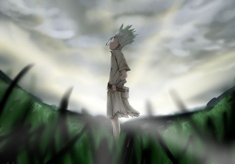 Обои на рабочий стол Senku Ishigami / Сенку Ишигами из аниме Dr Stone / Доктор Стоун by ito