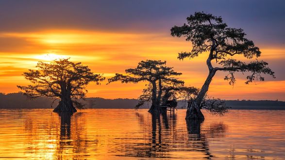 Обои на рабочий стол Восход солнца над озером, Louisiana / Луизиана, фотограф Hilton Chen
