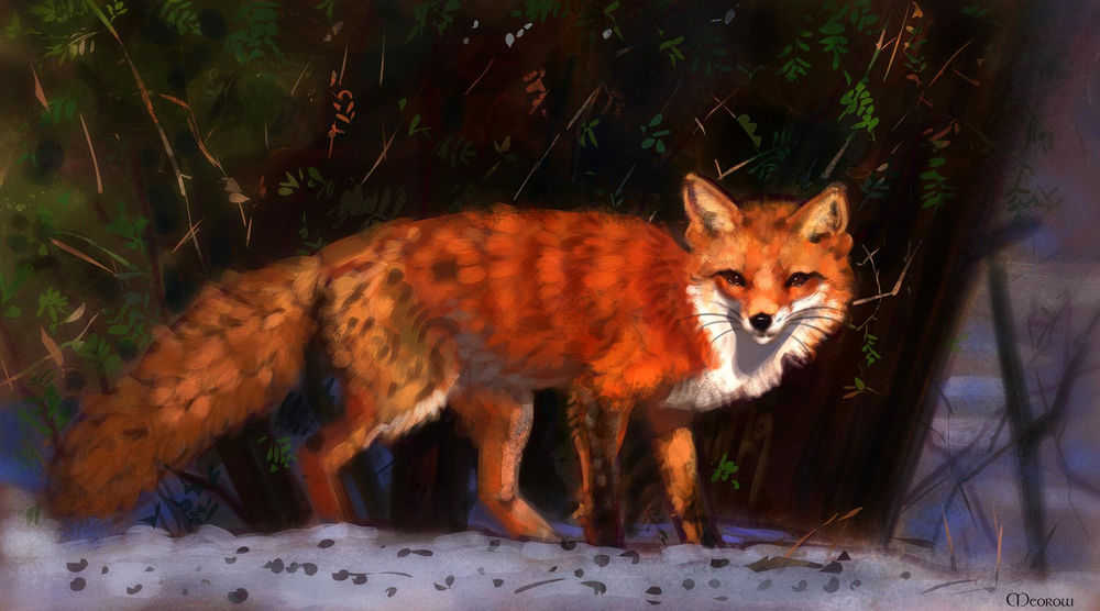 Обои для рабочего стола Лиса на природе, by Meorow
