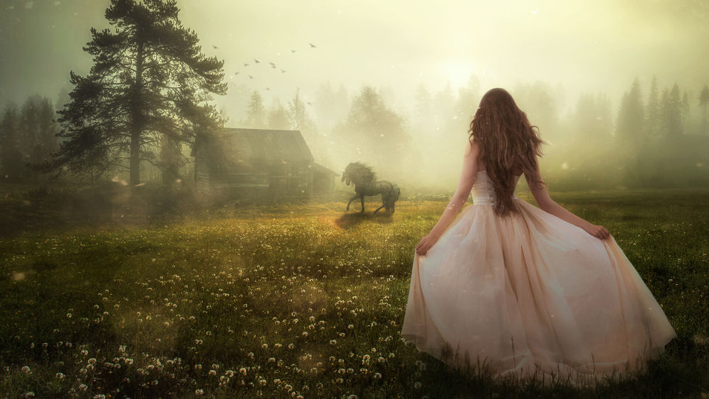 Обои для рабочего стола Девушка в длинном пышном платье стоит на цветущем поле, by Evgeny Dvoretckiy