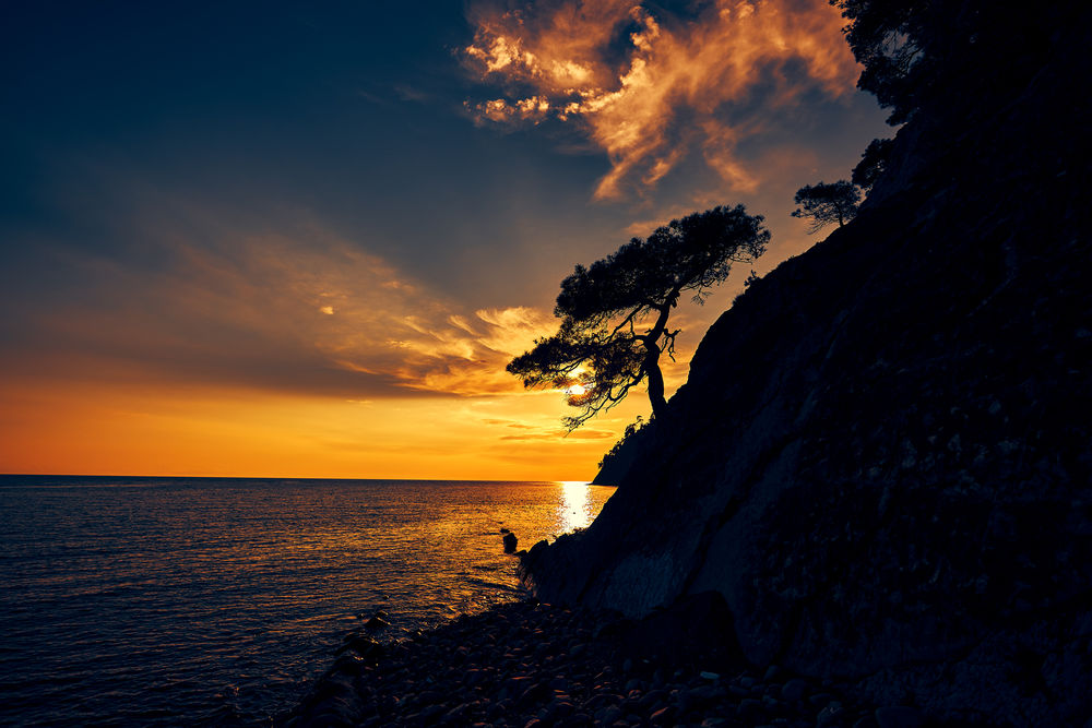 Обои для рабочего стола Дерево на скале у моря на фоне заката. Фотограф Павел