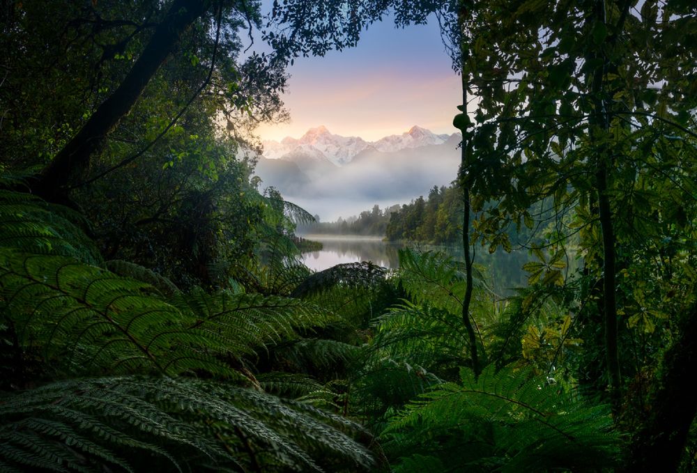 Обои для рабочего стола Самые высокие вершины в Aoteroa (New Zealand), Mount Cook and Mount Tasman framed by native West Coast forest./ Аотероа, Новая Зеландия, горы Кук и Тасман, обрамленные местным лесом Западного побережья, фотограф William Patino