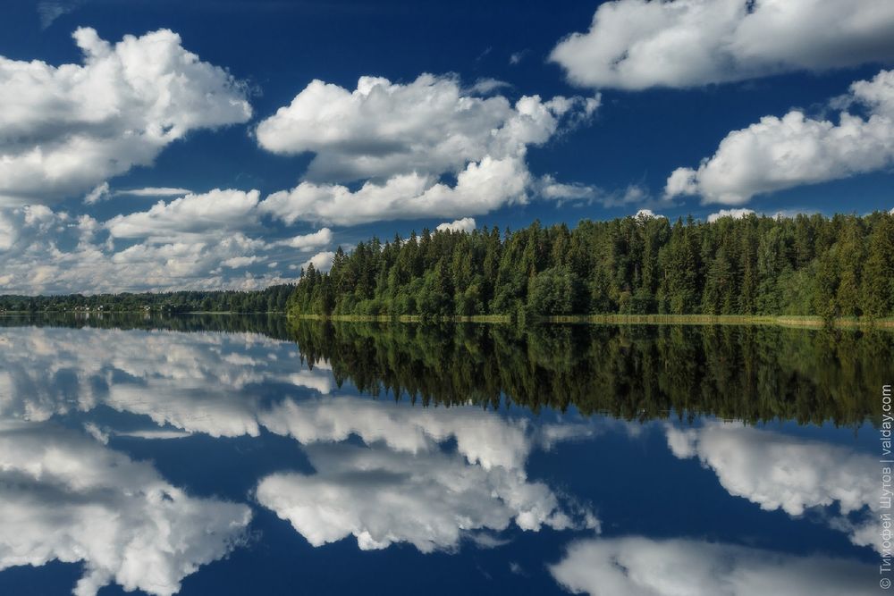 Обои для рабочего стола Зеленый лес на берегу Валдайского озера. Фотограф Тимофей Шутов