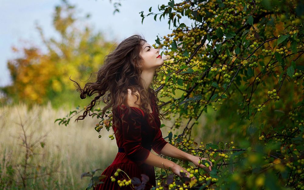 Обои для рабочего стола Темноволосая девушка в бордовом платье стоит на размытом фоне природы и держится руками за ветку плодового дерева