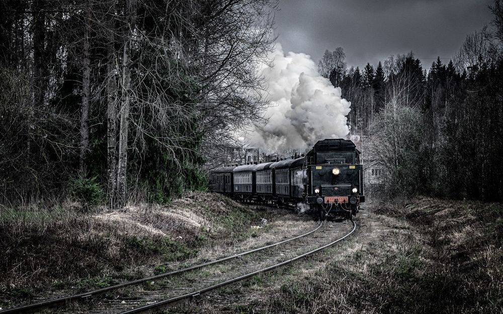Старые видят далеко. Поезд в лесу. Старая железная дорога в лесу. Едем на поезде. Лес страшный поезд.