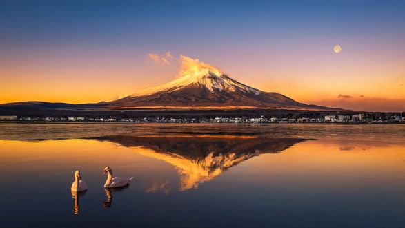 Обои на рабочий стол Гора Fuji, отражающаяся в воде, и пара лебедей, Japan / Япония