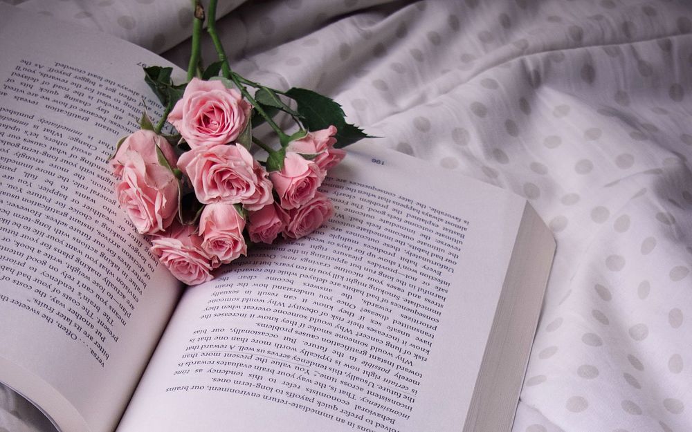 Обои для рабочего стола Розовые розы на открытой книге, фотограф Negin Esmaeili
