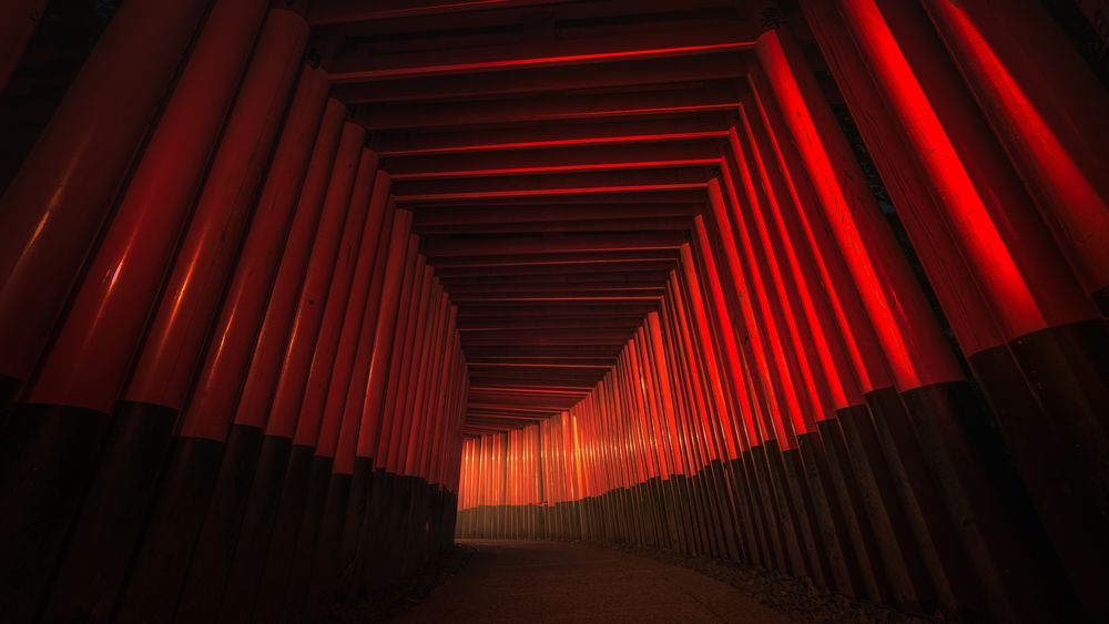 Обои для рабочего стола Fushimi Inari Shrine / ворота тории в Киото / Kyoto, Япония / Japan