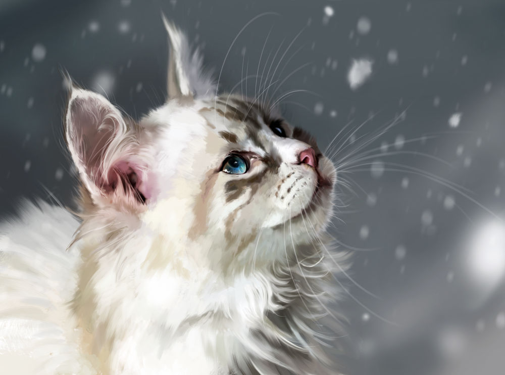 Обои для рабочего стола Кошка с голубыми глазами смотрит на падающий снег, by Muns11
