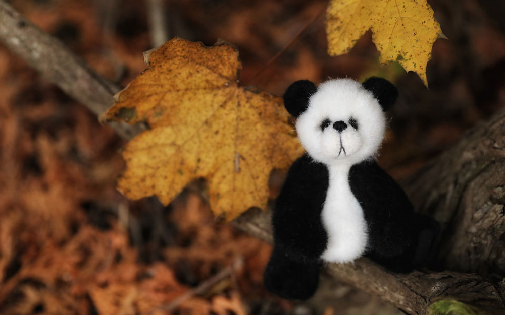 Обои для рабочего стола Игрушечная панда сидит у осенней листвы