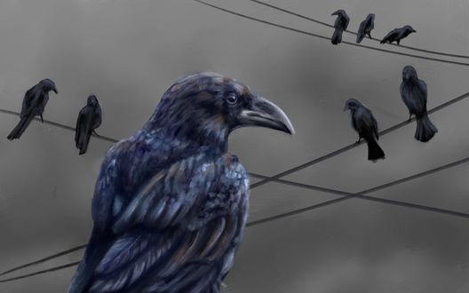 Обои на рабочий стол Ворон на фоне проводов с воронами, by Anirysel