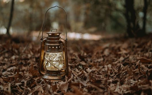 Обои на рабочий стол Фонарь стоит на осенней листве, by Ali Karimi