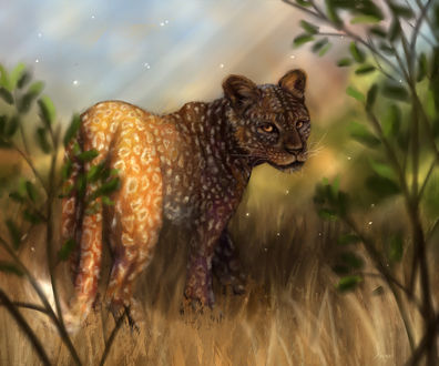 Обои на рабочий стол Леопард на природе, by anirysel