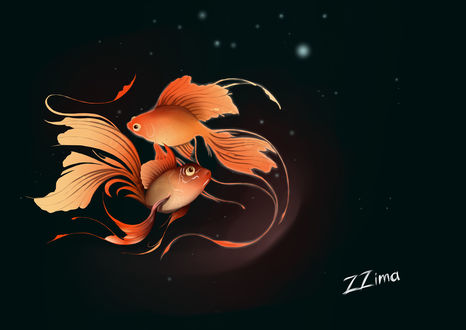 Обои на рабочий стол Рыбки на черном фоне, by oOZZimaOo