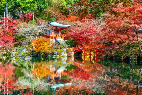 Обои на рабочий стол Храм Daygo-ji у пруда с красным мостиком в осеннем парке, Kyoto / Киото, Japan / Япония, фотограф Tawatchai Prakobkit