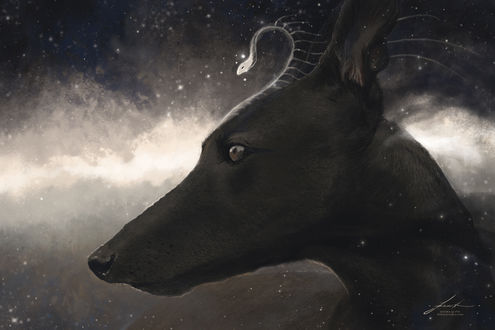 Обои на рабочий стол Черный пес с духом на морде среди космоса, by Jeszika Le Vye