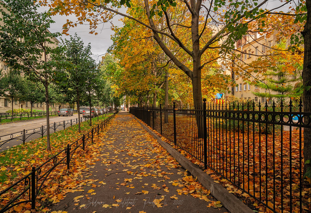 Обои для рабочего стола Тротуар с осенними деревьями усыпан листвой