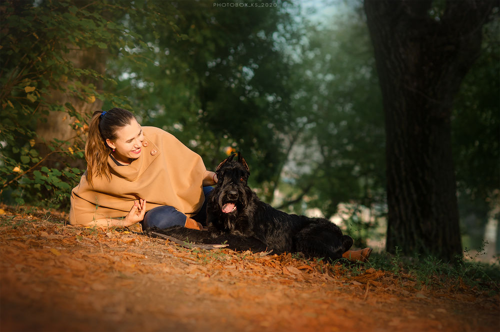 Обои для рабочего стола Девушка с собакой породы шотландский терьер лежат на осенней листве. Фотограф Кикоть Екатерина