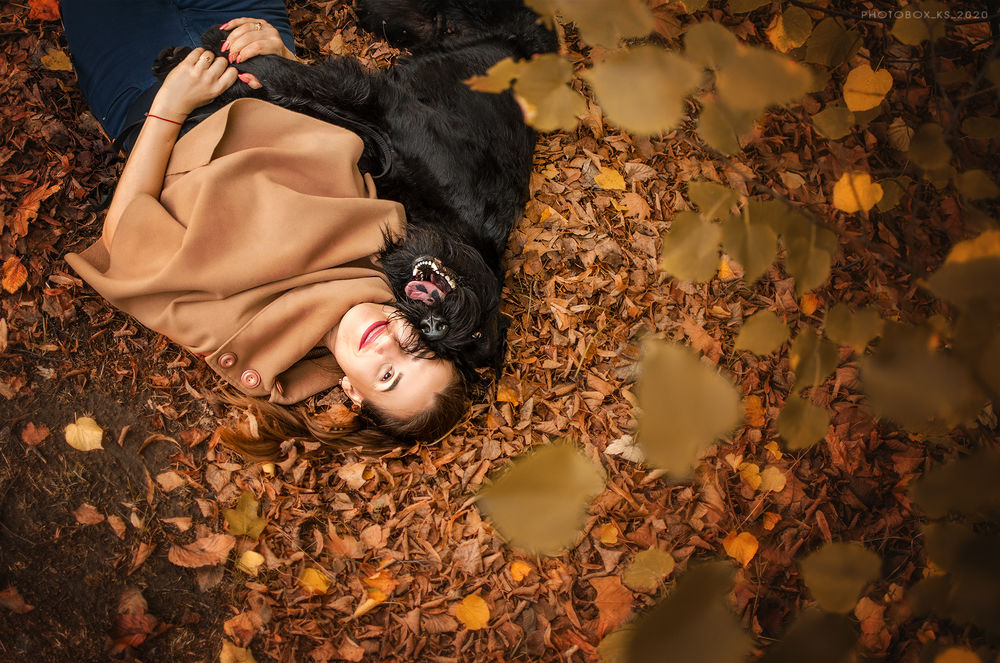 Обои для рабочего стола Девушка с собакой породы шотландский терьер лежат на осенней листве. Фотограф Кикоть Екатерина