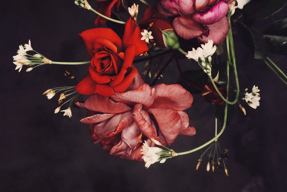 Обои для рабочего стола Красная, розовые розы и белые цветочки, by Martin de Arriba