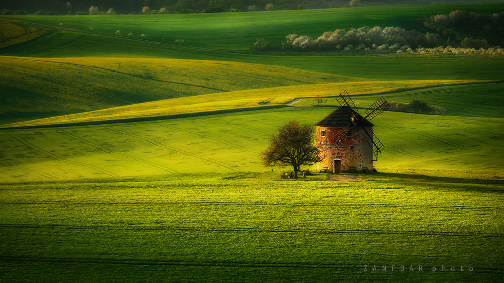 Обои для рабочего стола Ветряная мельница в поле, Czech Republic / Чехия, фотограф Zanfoar