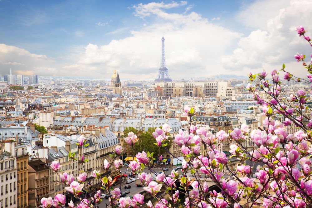 Обои для рабочего стола Вид на город Париж / Paris, Эйфелеву башню / Eiffel tower весной, Франция / France