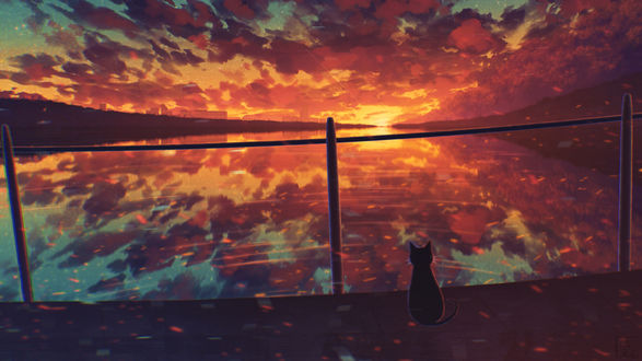 Обои на рабочий стол Кошка сидит у водоема во время заката, by Miloecute