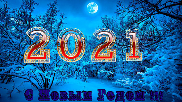 Обои на рабочий стол Надпись 2021 и С Новым Годом! на фоне заснеженного леса