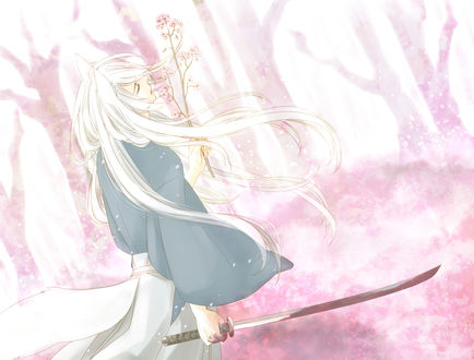 Обои на рабочий стол Томое / Tomoe из аниме Очень приятно, Бог / Kamisama Hajimemashita