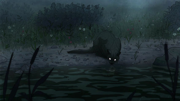 Обои на рабочий стол Черная кошка пьет воду из водоема, by Natalie Corsair
