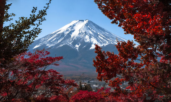 Обои на рабочий стол Осенний вид на гору Fuji, Japan / Фудзияма, Япония, фотограф Игнатьев Александр
