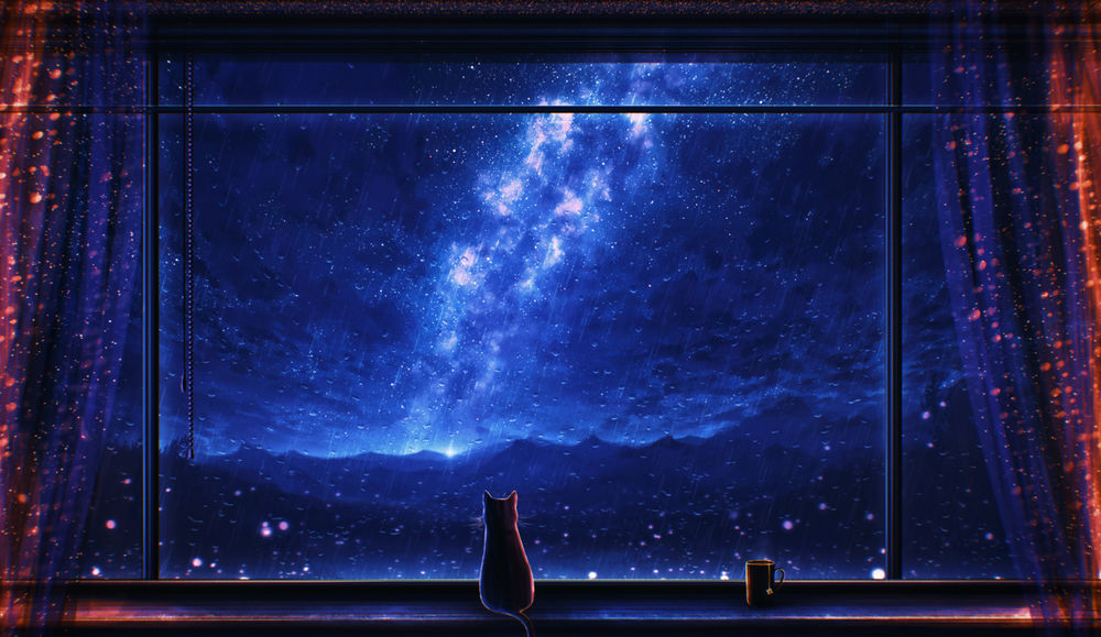 Обои для рабочего стола Черная кошка сидит на окне, за которым идет дождь, by Miloecute