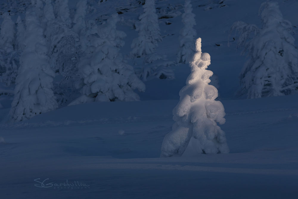 Обои на рабочий стол Заснеженная елочка у подножья горы, Урал, фотограф .