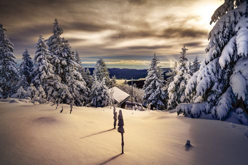 Обои на рабочий стол Домик в зимнем лесу, фотограф Robert Didierjean