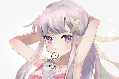 Обои на рабочий стол Emilia / Эмилия и и Puck / Пак из аниме Re:Zero kara Hajimeru Isekai Seikatsu / Re:Zero. Жизнь с нуля в альтернативном мир