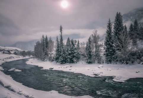 Обои на рабочий стол Зимняя река Чуя. Фотограф lora_pavlova
