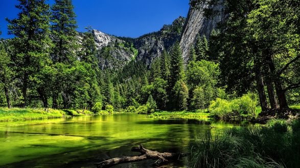 Обои на рабочий стол Yosemite National Park, USA / Йосемитский национальный парк, США