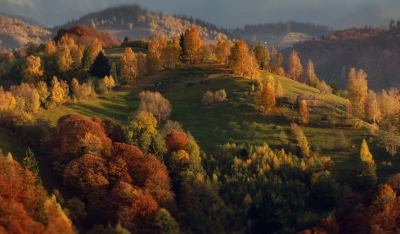 Обои на рабочий стол Осенние холмы, Румыния, фотограф Александр Перов