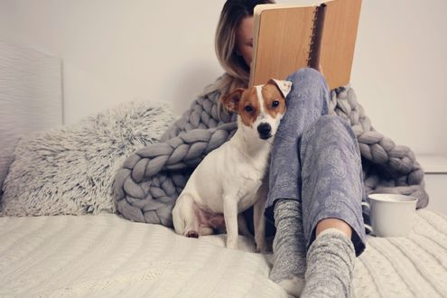 Обои на рабочий стол Девушка со щенком за чтением книги