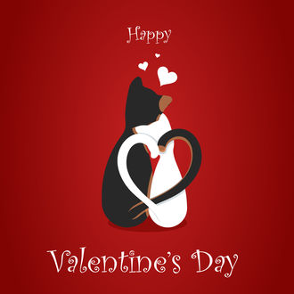 Обои на рабочий стол Черный и белый котики на красном фоне (Happy Valentines Day / С днем ​​Святого Валентина)