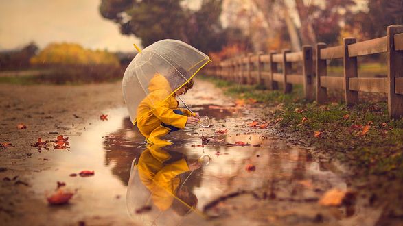 Золотая Осень Дождь Фото